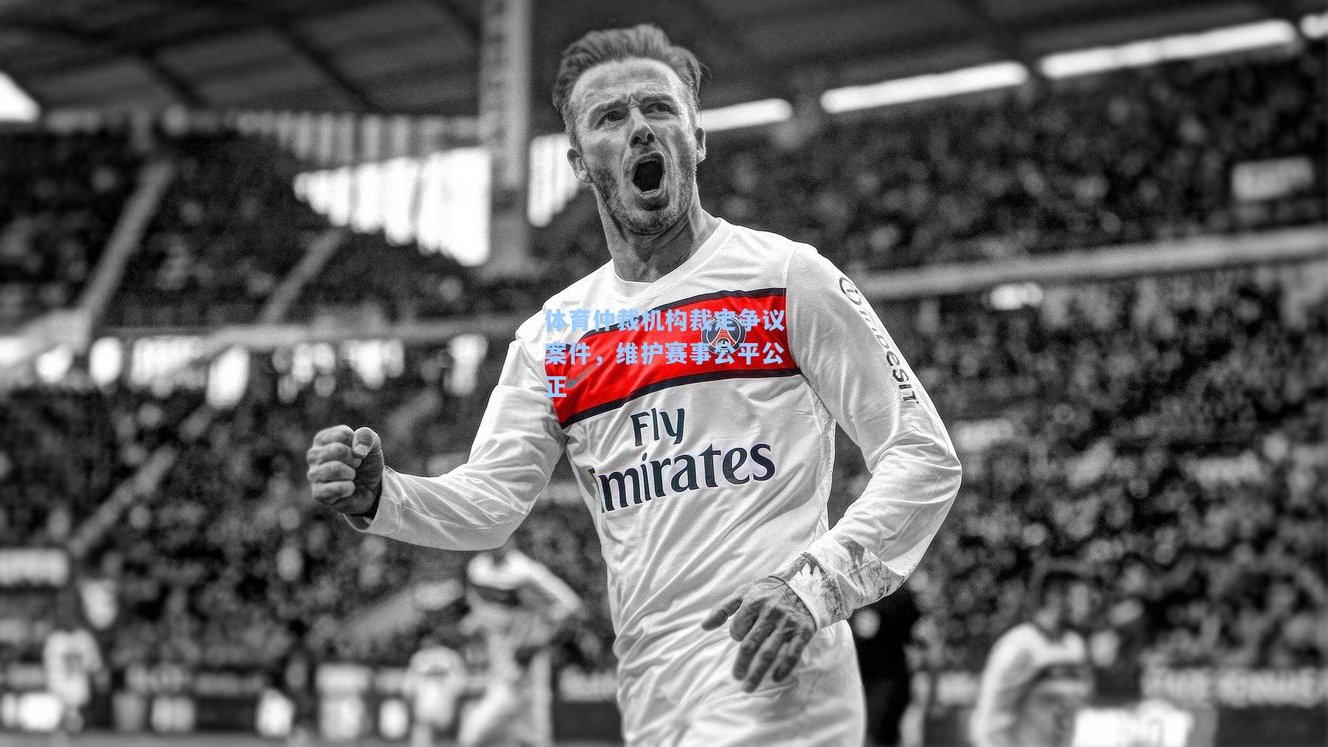 体育仲裁机构裁定争议案件，维护赛事公平公正